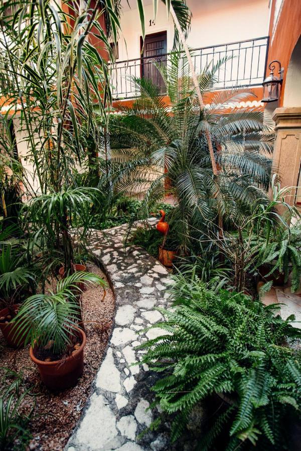Hotel Quinta Marciala Mx Valladolid  Kültér fotó